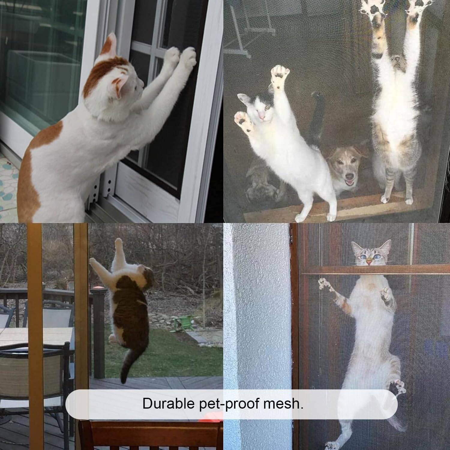 Window Mesh For Cats | Cat Window Screen | Cat Proofing Screens: image 4